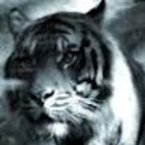 Meet your Posher, Maira